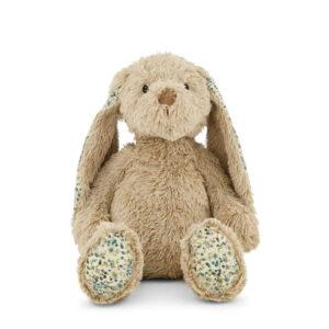 BERNARD BUNNY